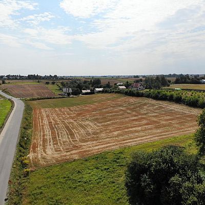 DZIAŁKA na SPRZEDAŻ