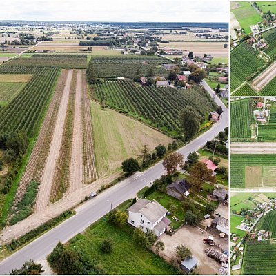 DZIAŁKA na SPRZEDAŻ